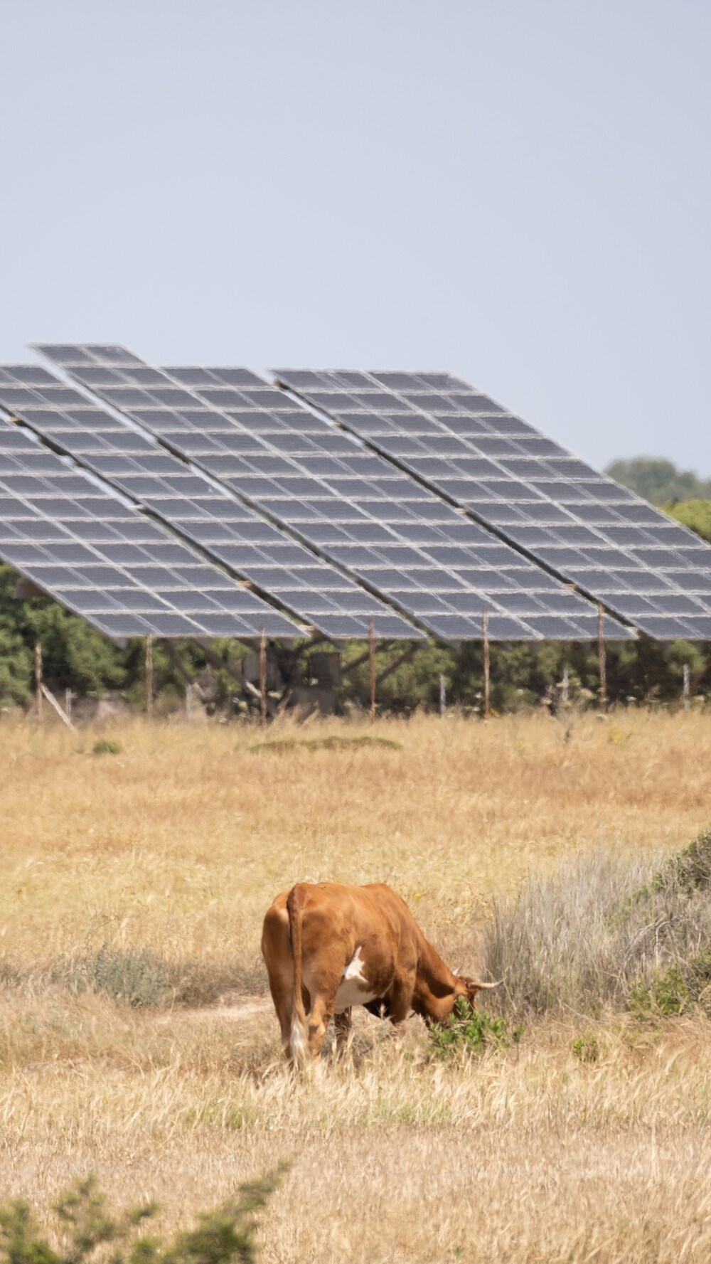 Smart Meter und Solarpanel
